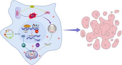 Metallodrugs in the battle against non-small cell lung cancer: unlocking the potential for improved therapeutic outcomes